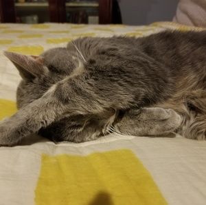 Meet your Posher, Laura